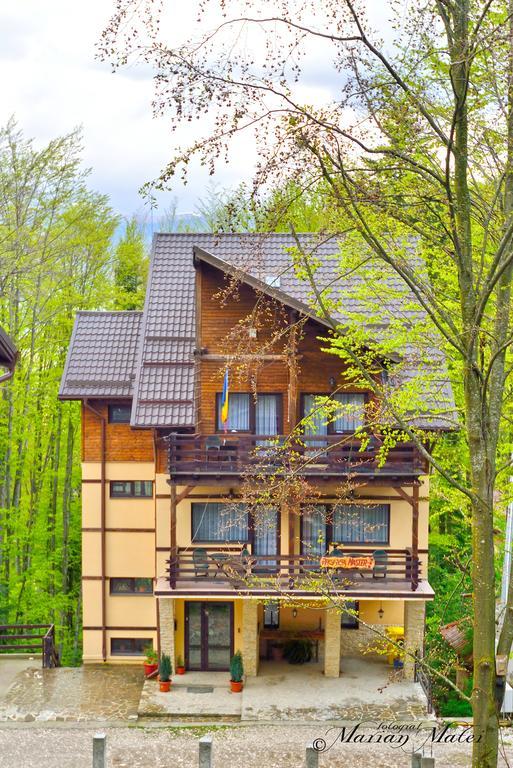 Pension Master Синая Экстерьер фото